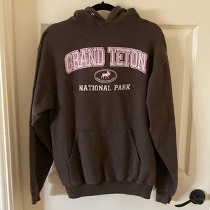 Jerzees Grand Teton National Park Brown Hooded Sweater Sweatshirt Medium EUC